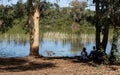 Unrecognised couple relaxing outdoors enjoying nature. Lake in the forest