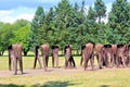 `The Unrecognised Ones` 2002 in the Cytadela park, Poznan, Poland Royalty Free Stock Photo
