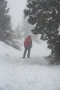 Unrecognised person walking in snow during snowstorm in snow mountain in winter. Royalty Free Stock Photo