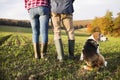 Senior couple with dog on a walk in an autumn nature. Royalty Free Stock Photo