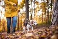 Senior woman with dog on a walk in an autumn forest. Royalty Free Stock Photo