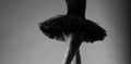 Unrecognizable ballerina in studio, black tutu. classical ballet art. black and white image, body part Royalty Free Stock Photo