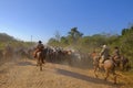 Unrecognizable cowboys with cows, cattle transport on the nature parkway in the Pantanal, Mato Grosso Do Sul, Brazil