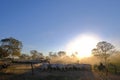 Unrecognizable cowboys at farm with sign Fazenda Paraiso - Paradise Farm portuguese text, Transpantaneira road, Brazil Royalty Free Stock Photo