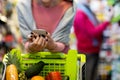 Unrecognizable customers man and woman doing grocery in supermarket, cropped Royalty Free Stock Photo