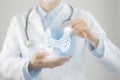 Unrecognizable doctor holding highlighted handrawn Thyroid Gland in hands. Medical illustration, template, science mockup