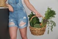 Unrecognizable farmer holding fresh vegetables basket picked in the garden. Royalty Free Stock Photo