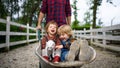 Unrecognizable father pushing small children in wheelbarrow on farm.