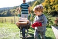 Unrecognizable father and toddler boy outdoors in summer, carrying firewood in wheelbarrow. Royalty Free Stock Photo