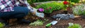 Unrecognizable female gardener holding beautiful flower ready to be planted in a garden. Gardening concept.