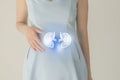 Woman in blue clothes holding virtual kidney in hand. Handrawn human organ, detox and healthcare, healthcare hospital service