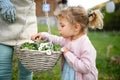 Unrecognizable grandmother with small granddaughter gardening outdoors in summer.