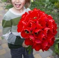 unrecognizable happy child cheerfully shows his tongue and holds a large bouquet of red tulip flowers