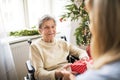 Health visitor and senior woman in wheelchair with a present at home at Christmas. Royalty Free Stock Photo