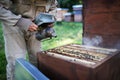 Unrecognizable man beekeeper working in apiary, using bee smoker. Royalty Free Stock Photo