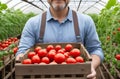 Unrecognizable man farmer with container harvest of tomatoes in greenhouse. Concept of horticulture, agriculture and