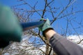 Unrecognizable man pruning fruit trees in his garden. Male gardener using telescopic pruning shears. Springtime gardening.