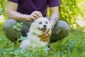 Unrecognizable man squatting, stroking fluffy white dog on street. Faceless owner with tired pet relaxing in green grass Royalty Free Stock Photo