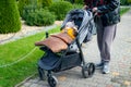 Unrecognizable mother walking with her little son in a stroller outdoors. Motherhood, family portrait Royalty Free Stock Photo