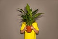 Unrecognizable people boy teenager young man hid behind pot with home flower with large green leaves