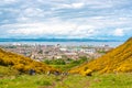 Unrecognizable people in Holyrood Park surrounded by yellow flowers, Edinburgh Royalty Free Stock Photo