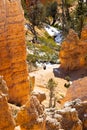 Unrecognizable people walking amongst the hoodoos on Navajo look trail at Bryce Canyon National Park