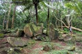 South Pacific Polynesian ancient sacrifice rocks site Rarotonga