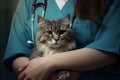 Unrecognizable professional veterinarian vet clinic professional doctor nurse medical veterinary worker girl female