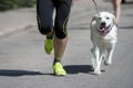 Unrecognizable runner and a dog at the city race