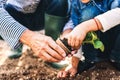 Senior man with grandaughter gardening in the backyard garden. Royalty Free Stock Photo