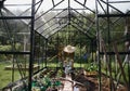 Unrecognizable senior woman watering plants in greenhouse at garden. Royalty Free Stock Photo