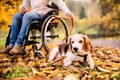 A senior woman in wheelchair with dog in autumn nature. Royalty Free Stock Photo
