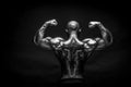 Back view of tattoed bodybuilder with outstretched arms Royalty Free Stock Photo