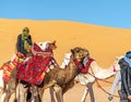 Camel riding escapade Royalty Free Stock Photo