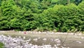 Unrecognizable woman crossing a mountain river ford