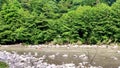 Unrecognizable woman crossing a mountain river ford