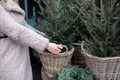 Unrecognizable woman in faux fur coat halding small Christmas tree in wicker pot in city flower shop