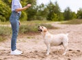 Unrecognizable woman giving a command to her obedient dog Royalty Free Stock Photo