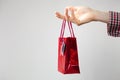 Woman holding gift shopping bag Royalty Free Stock Photo