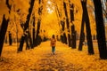 Unrecognizable woman hiking on autumn forest nature trail active outdoor walk in woods background Royalty Free Stock Photo