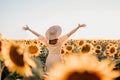 Unrecognizable woman with open arms in sunflowers field. Yellow colors, warm toning. Free girl in straw hat and retro Royalty Free Stock Photo