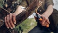 Unrecognizable woman sawing wood hand saw. Close-up. Survival Bushcraft Concept Royalty Free Stock Photo