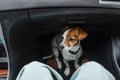 Unrecognizable woman traveling by car with her cute small dog sitting on the floor and waiting for destination. Pets and travel Royalty Free Stock Photo