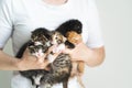 Unrecognizable woman wearing white T-shirt olding five outbred little kittens of different colors. Pet adoption.