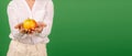 Unrecognizable woman in a white shirt holds an apple in her hands on a green background. Banner. Place for your text. Healthy Royalty Free Stock Photo