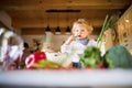 Young father with a toddler boy cooking. Royalty Free Stock Photo