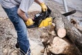 Unrecognizable young man cutting a tree trunk with a chainsaw Royalty Free Stock Photo