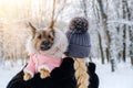 Unrecognized woman holds her dressed dog in her arms in winter outdoors on walk Royalty Free Stock Photo