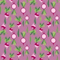 Unregular seamless pattern with fresh delicious radish vector illustration Royalty Free Stock Photo