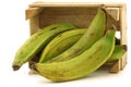 Unripe baking bananas (plantain bananas) Royalty Free Stock Photo